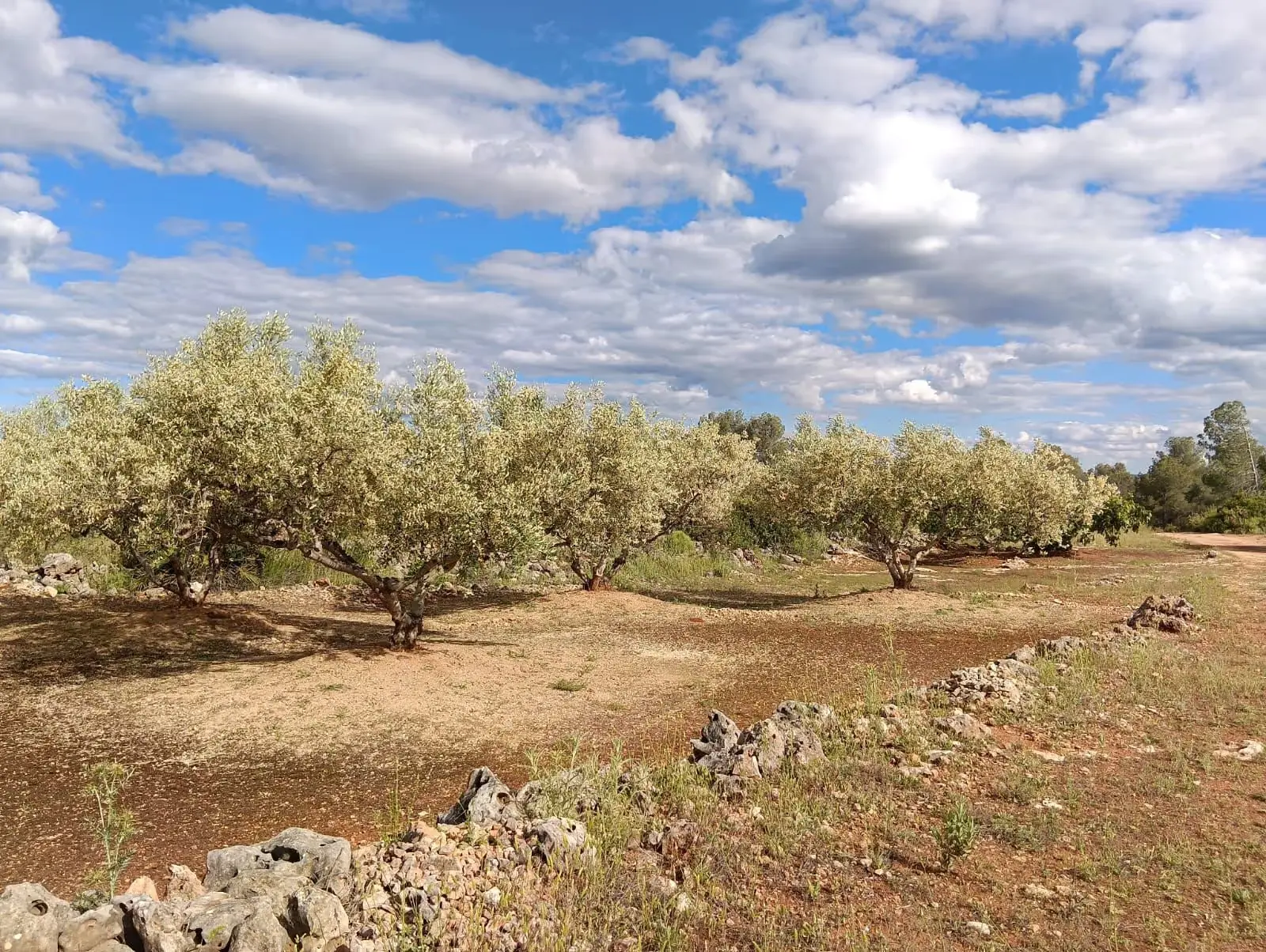 Natural landscape