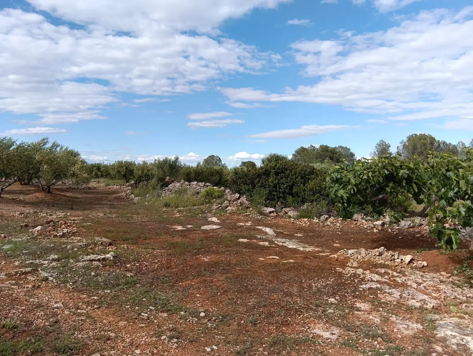 Rocky terrain